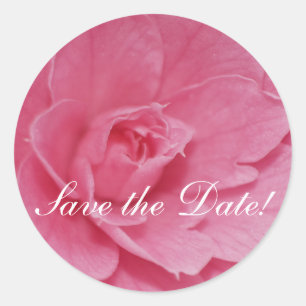 Pink Camellia Blossom Runder Aufkleber