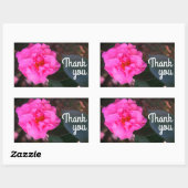 Pink Camellia Danke Stickers (Blatt)