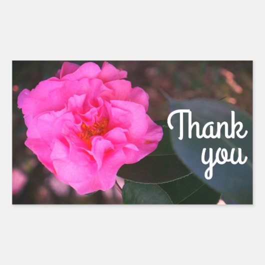 Pink Camellia Danke Stickers (Vorderseite)
