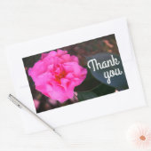 Pink Camellia Danke Stickers (Umschlag)