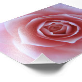 Pink Camellia Fotodruck (Ecke)