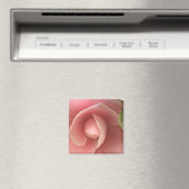 Pink Camellia Magnet (In Situ (Geschirrspüler))
