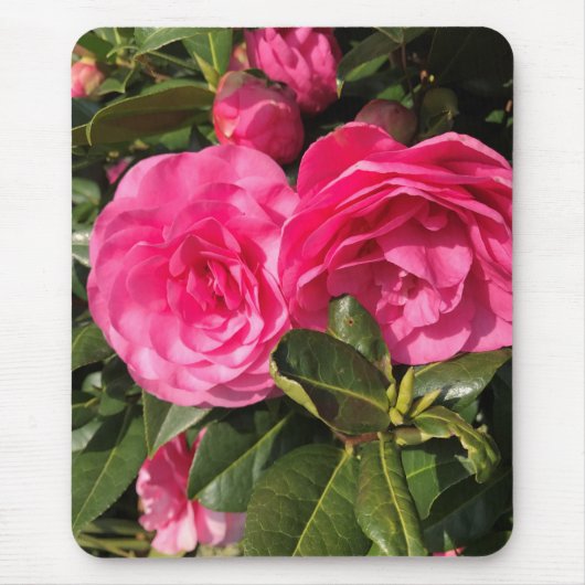 Pink Camellia Mousepad (Vorne)