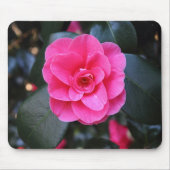 Pink Camellia Mousepad (Vorne)