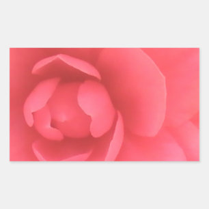 Pink Camellia Rechteckiger Aufkleber