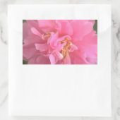 Pink Camellia Rechteckiger Aufkleber (Tasche)