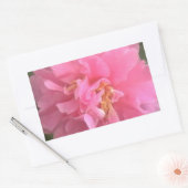 Pink Camellia Rechteckiger Aufkleber (Umschlag)