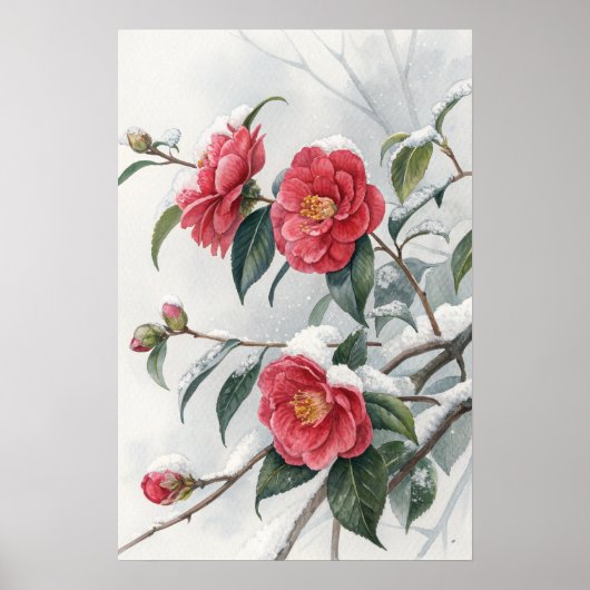 Pink Camellia Snow Poster (Vorne)