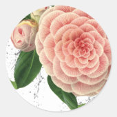 Pink Camellia Umschlag Aufkleber Stickers (Vorderseite)