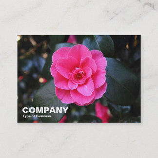Pink Camellia Visitenkarte