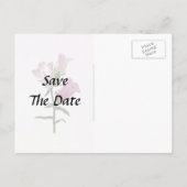 Pink Canterbury Bells Ankündigungspostkarte (Rückseite)