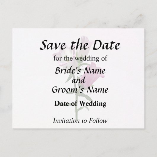 Pink Canterbury Bells Ankündigungspostkarte (Vorderseite)