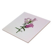 Pink Canterbury Bells Fliese (Seite)