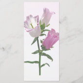 Pink Canterbury Bells Menükarte (Rückseite)