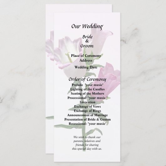 Pink Canterbury Bells Programm (Vorne/Hinten)