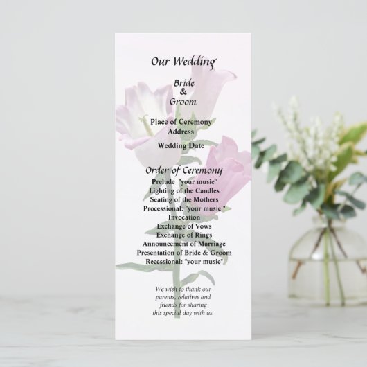 Pink Canterbury Bells Programm (Stehend Vorderseite)