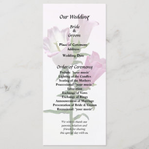 Pink Canterbury Bells Programm