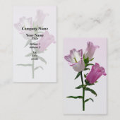 Pink Canterbury Bells Visitenkarte (Vorne/Hinten)