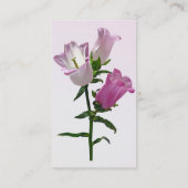 Pink Canterbury Bells Visitenkarte (Rückseite)