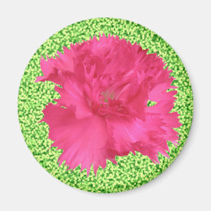 Pink Carnation Magnet