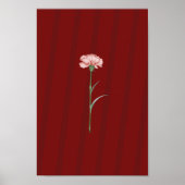 Pink Carnation on Red - Romantisches ästhetisches  Poster (Vorne)