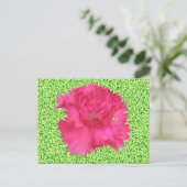 Pink Carnation Postcard Postkarte (Stehend Vorderseite)