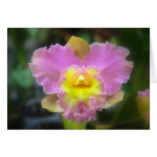 Pink Cattleya Orchid Card