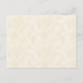 Pink Cattleya Orchid Vintag Botanisch Postkarte (Rückseite)