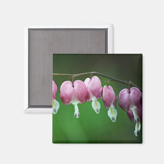 Pink Charms Magnet (Vorderseite/Rückseite)