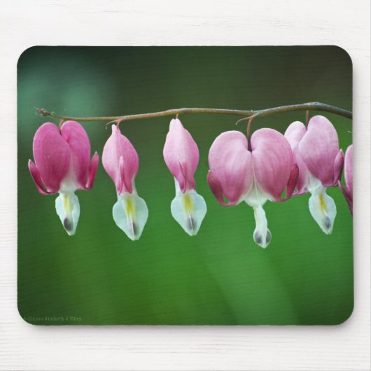Pink Charms Mauspad (Vorne)