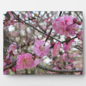Pink Cherry Blosm / Sakura / ラ(桜) Fotoplatte (Vorderseite)