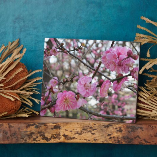 Pink Cherry Blosm / Sakura / ラ(桜) Fotoplatte (Seite)