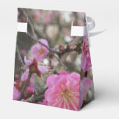Pink Cherry Blosm / Sakura / ラ(桜) Geschenkschachtel (Rückseite)