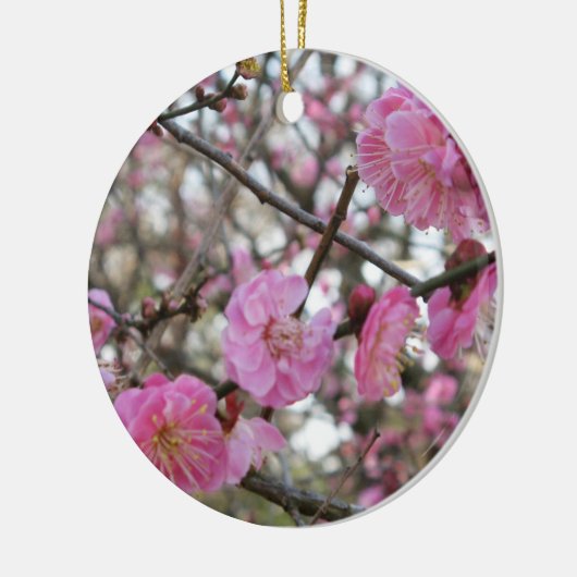 Pink Cherry Blosm / Sakura / ラ(桜) Keramik Ornament (Links)
