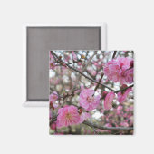 Pink Cherry Blosm / Sakura / ラ(桜) Magnet (Vorderseite/Rückseite)