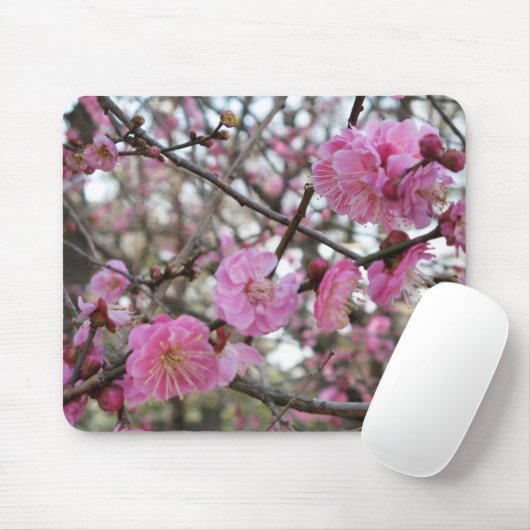 Pink Cherry Blosm / Sakura / ラ(桜) Mousepad (Mit Mouse)