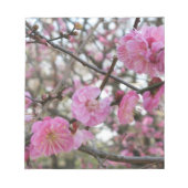 Pink Cherry Blosm / Sakura / ラ(桜) Notizblock (Vorderseite)