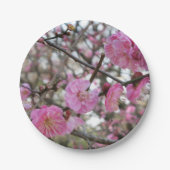 Pink Cherry Blosm / Sakura / ラ(桜) Pappteller (Vorderseite)