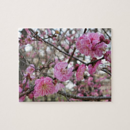 Pink Cherry Blosm / Sakura / ラ(桜) Puzzle (Horizontal)