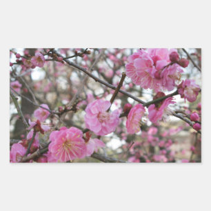 Pink Cherry Blosm / Sakura / ラ(桜) Rechteckiger Aufkleber