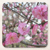 Pink Cherry Blosm / Sakura / ラ(桜) Rechteckiger Pappuntersetzer (Vorderseite)