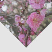 Pink Cherry Blosm / Sakura / ラ(桜) Seidenpapier (Ausschnitt)