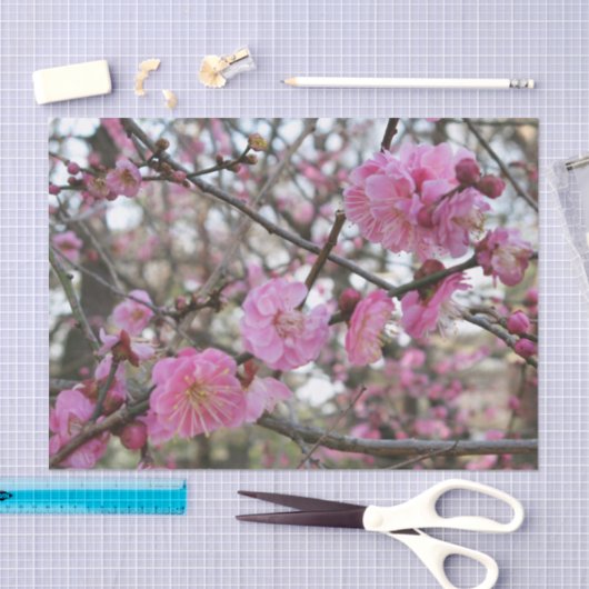 Pink Cherry Blosm / Sakura / ラ(桜) Seidenpapier (Handwerk)