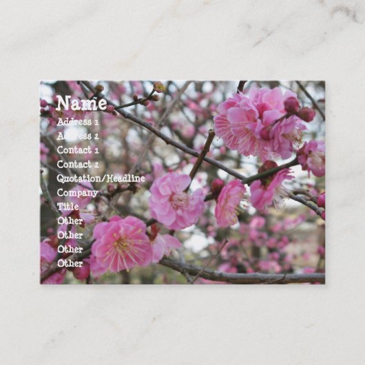 Pink Cherry Blosm / Sakura / ラ(桜) Visitenkarte (Vorderseite)