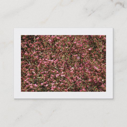 Pink Cherry Blossom 02 (grenzbar) Visitenkarte (Vorderseite)