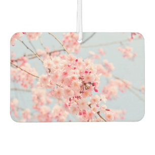 Pink Cherry Blossom Autolufterfrischer