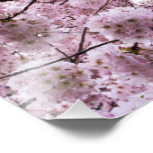 Pink Cherry Blossom Blume Canopy Fotodruck (Ecke)