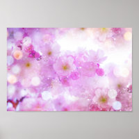 Pink Cherry Blossom Blume Foto