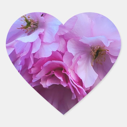 Pink Cherry Blossom Blume Herz-Aufkleber (Vorderseite)