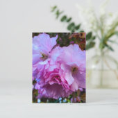 Pink Cherry Blossom Blume Postkarte (Stehend Vorderseite)